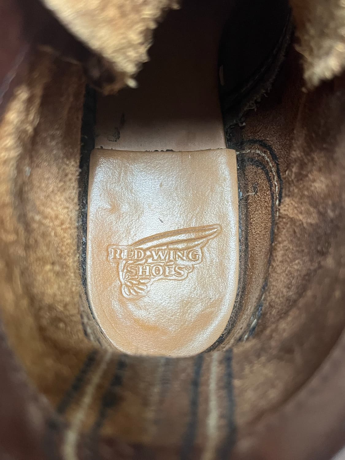 [250] 레드윙 아이언레인저 8111 앰버 하니스 상품이미지6