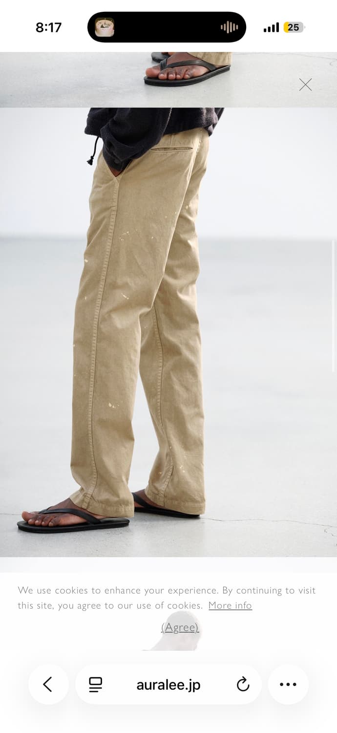 GARMENT-DYED FINX LIGHT CHINO PANT 상품이미지2