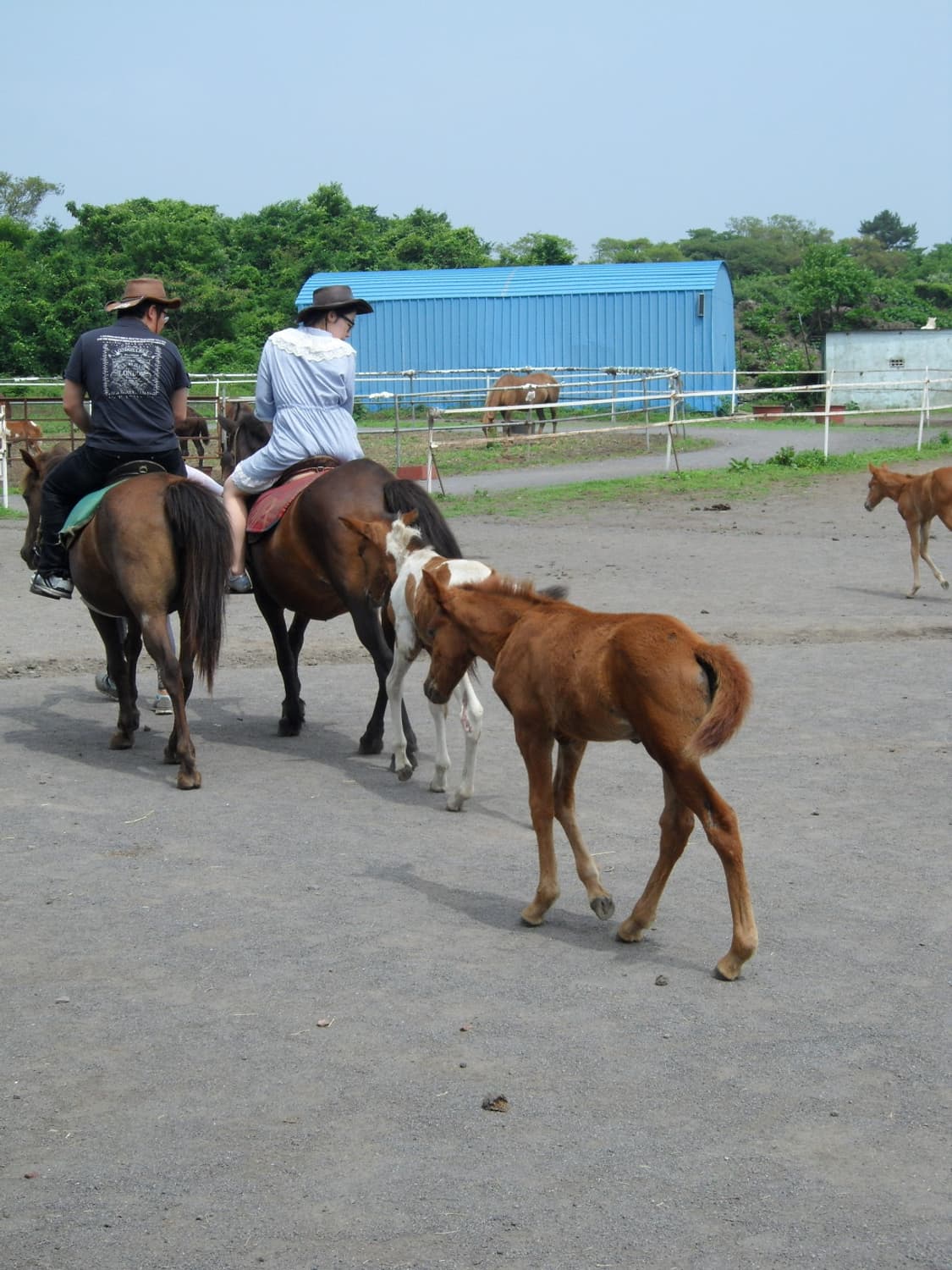 삼성 Samsung VLUU ST550 블랙 상품이미지2