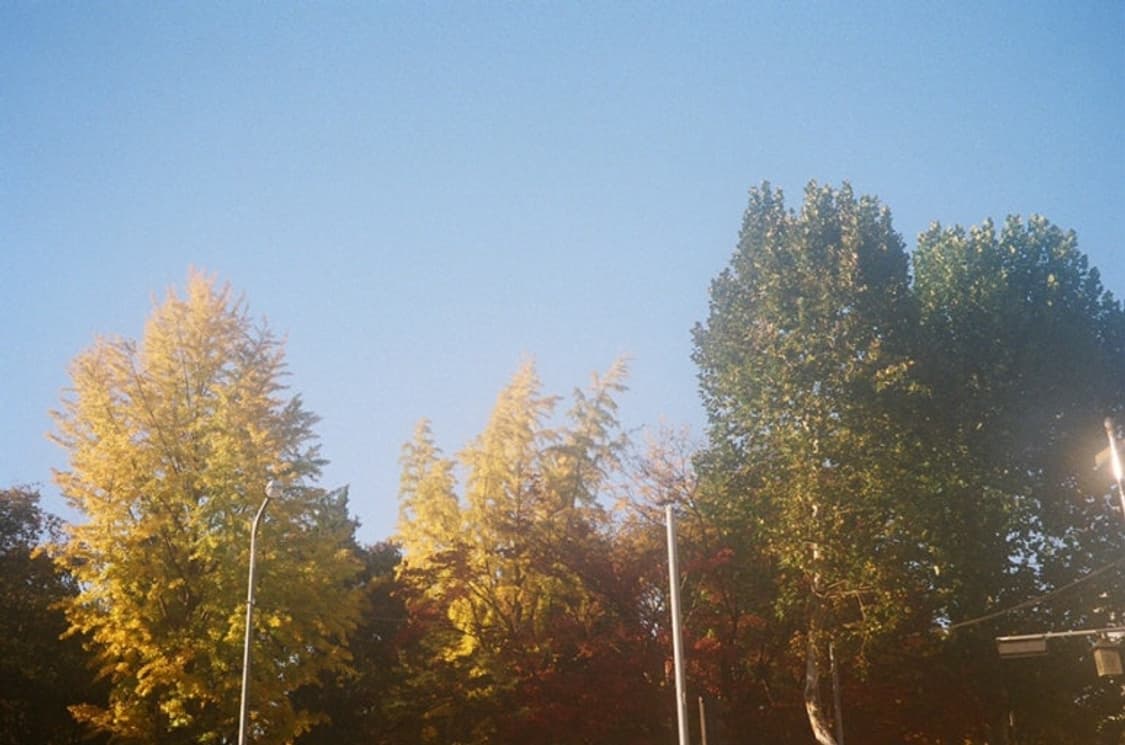 올림푸스 뮤줌 파노라마 필름카메라 (빈티지 카메라) 상품이미지9