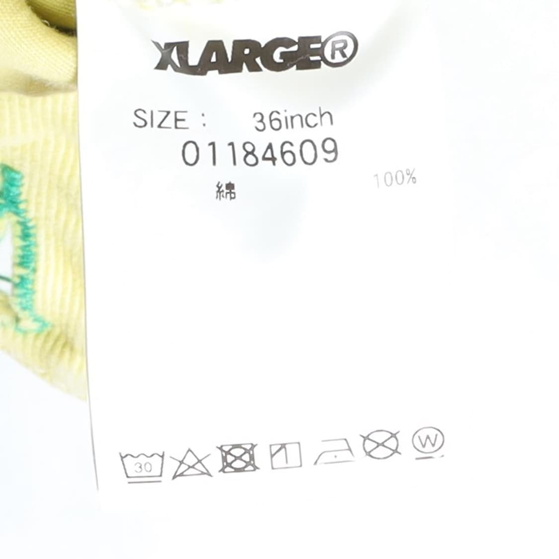 엑스라지 Xlarge Carpenter Pants

 상품이미지10