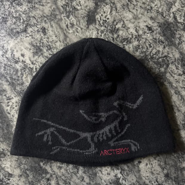 아크테릭스 비니