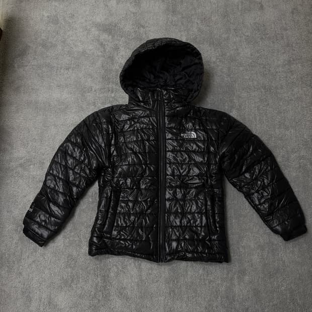 North Face Summit 800 Down Puffer