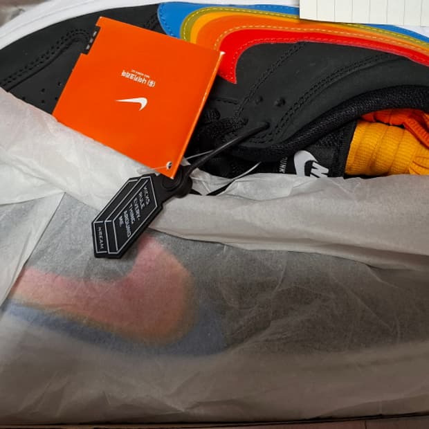 나이키 덩크SB 폴라로이드 270