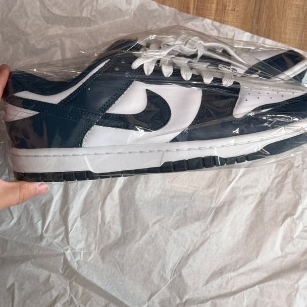 덩크 로우 발레리안 블루