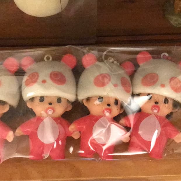 몬치치 4마리 입양하실 분