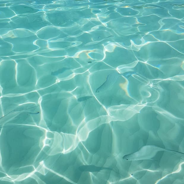 channy0905 님 개인거래창