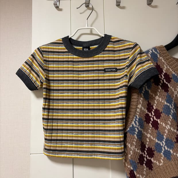 스컬프터 스트라이프 크롭 반팔티 S