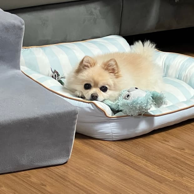 나이키 트레이닝 결제창