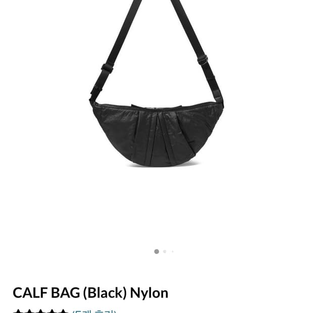 worthwhile movement X polyteru 카프백 나일론