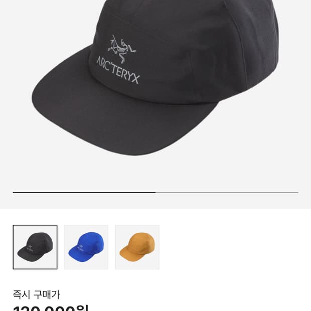 아크테릭스 고어5 패널 볼캡 블랙