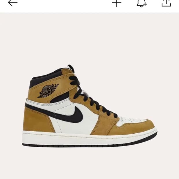 조던 루키오브더 이어