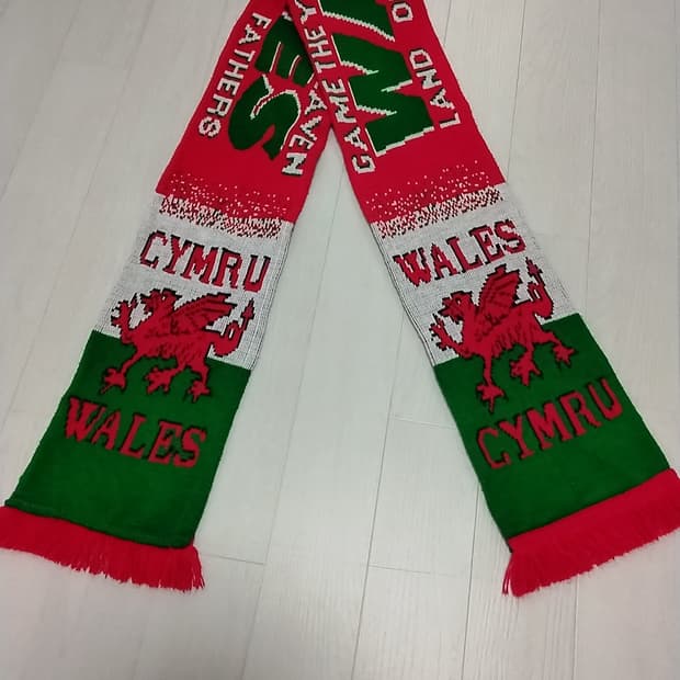 웨일스 축구 머플러
