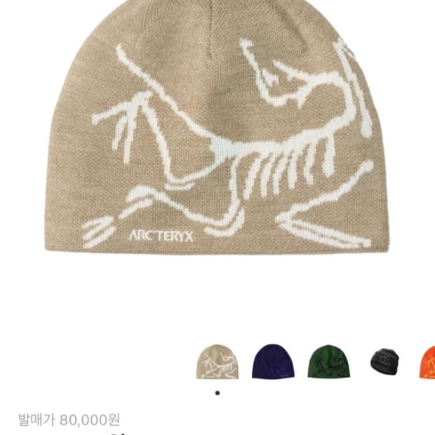 아크테릭스 버드 헤드 비니