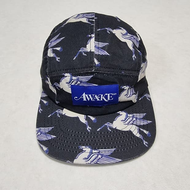 Awake NY camp cap 