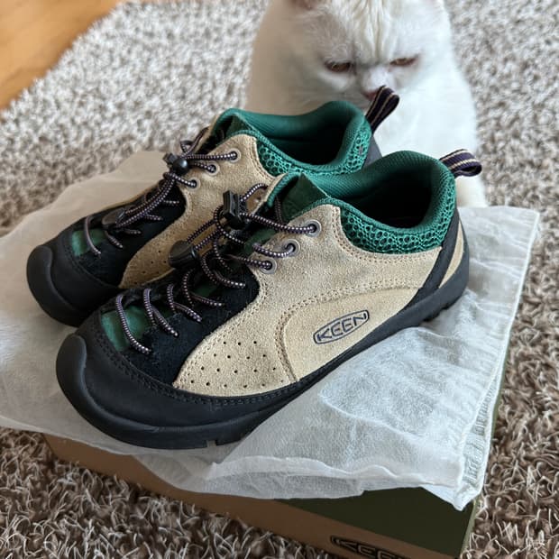 킨 재스퍼 락 에버그린 235