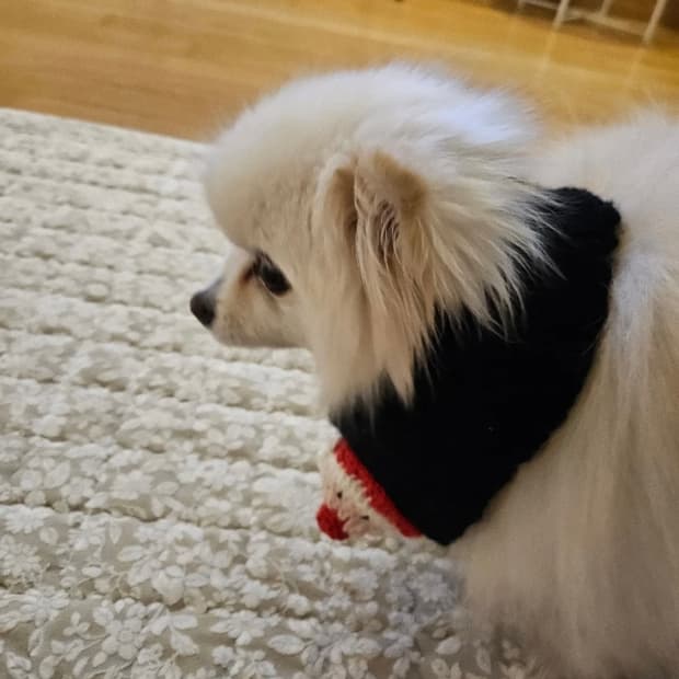 핸드메이드 강아지 산타 목도리
