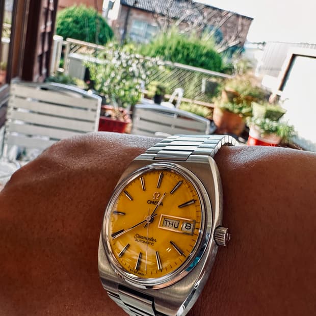 오메가 고구마 엘로우