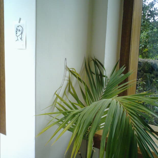 AVOX adss-02xs 빈티지디카