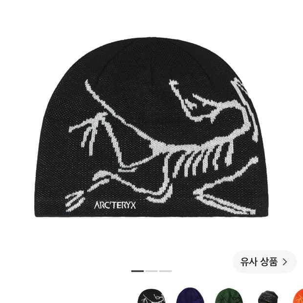 아크테릭스 비니