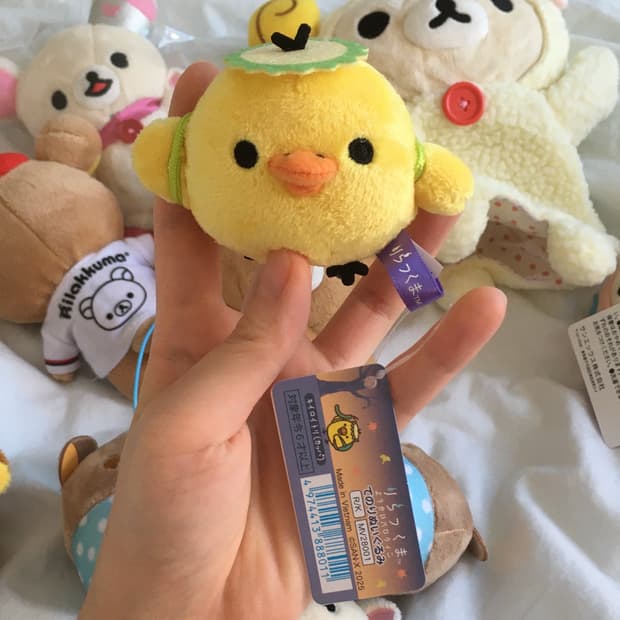 거북이 리락쿠마 키이