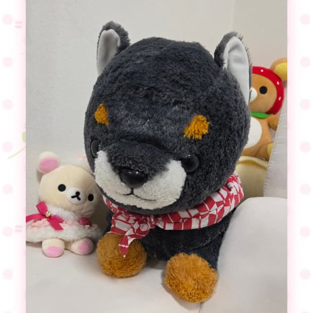 AMUSE 마메시바 마메지로 강아지 인형