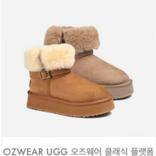 호주 어그 버클 미니 부츠 5cm