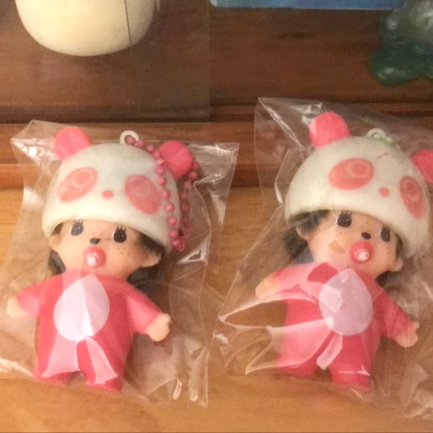 몬치치 2마리 입양하실 분