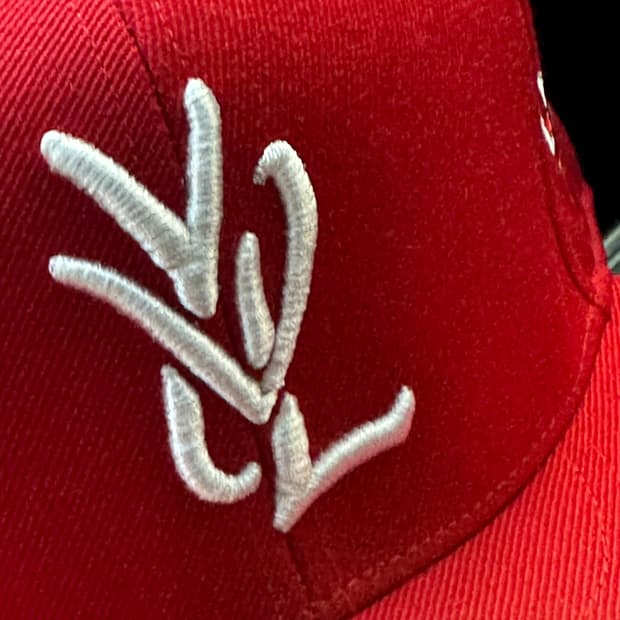 YVL 모자