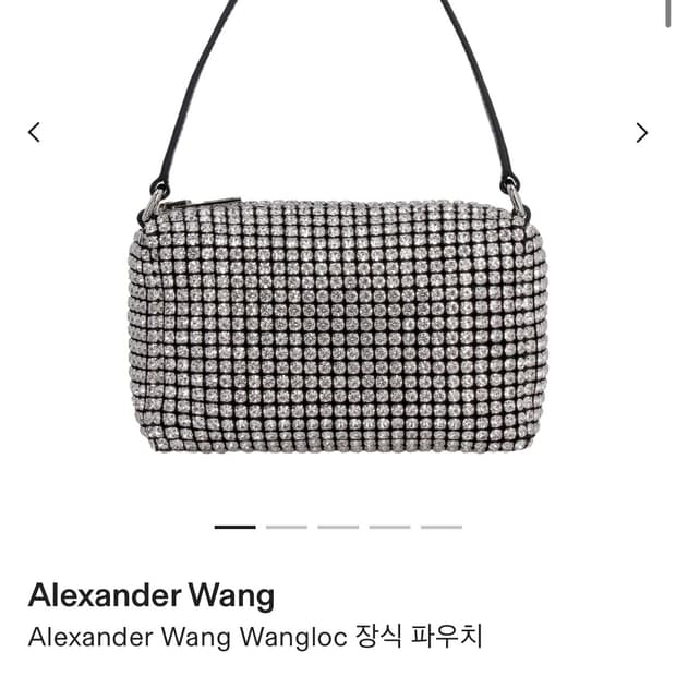 alexander wang 크리스털파우치