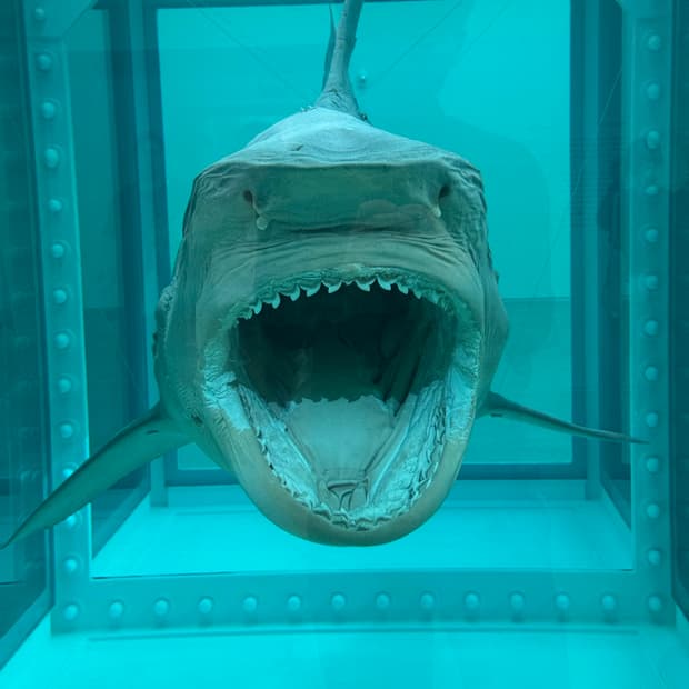 결제창