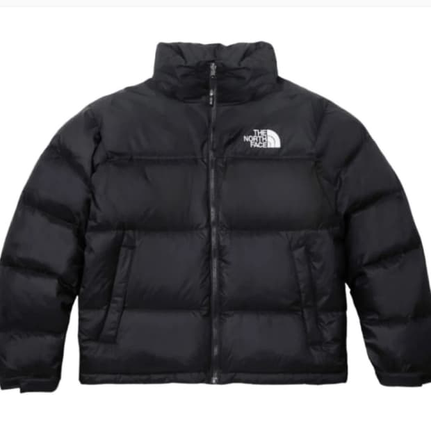 노스페이스 1996 눕시 여성용 XL(100) 팝니다