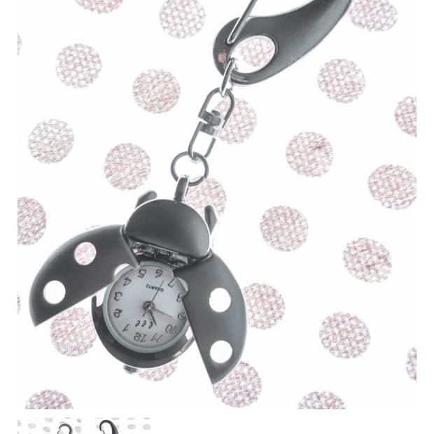 Espace ladyburg keyring 이스페이스 무당벌레 키링