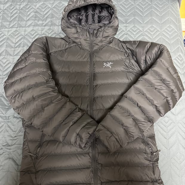 [L] 아크테릭스 세륨 후디 블랙