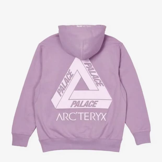 ( L ) 팔라스 X 아크테릭스 후드 헤이즈