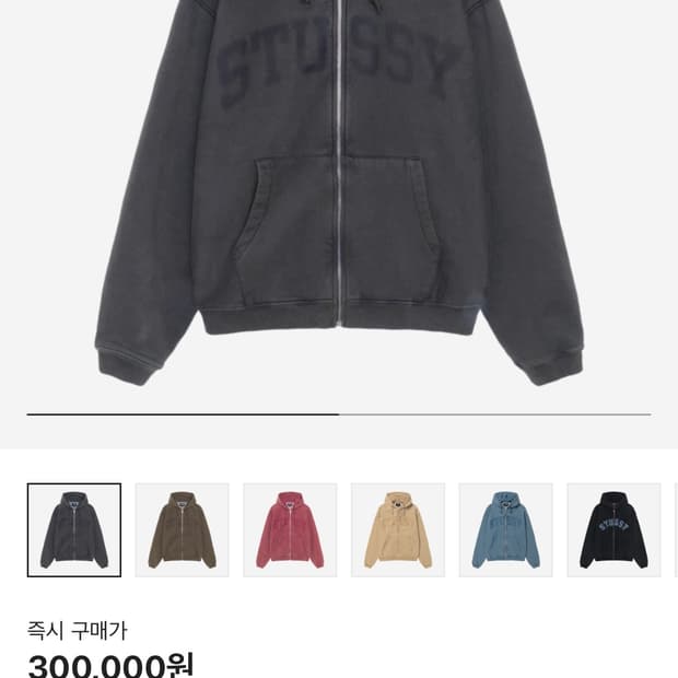 스투시 페이디드 집업 L