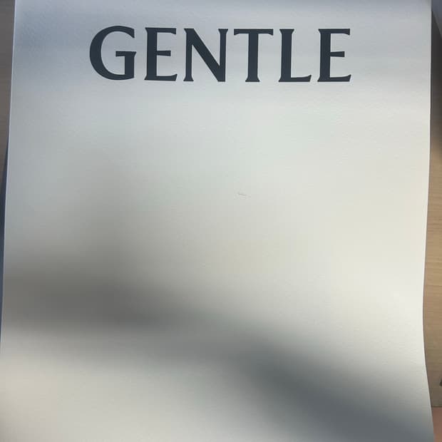 Gentle monster - rococo 01