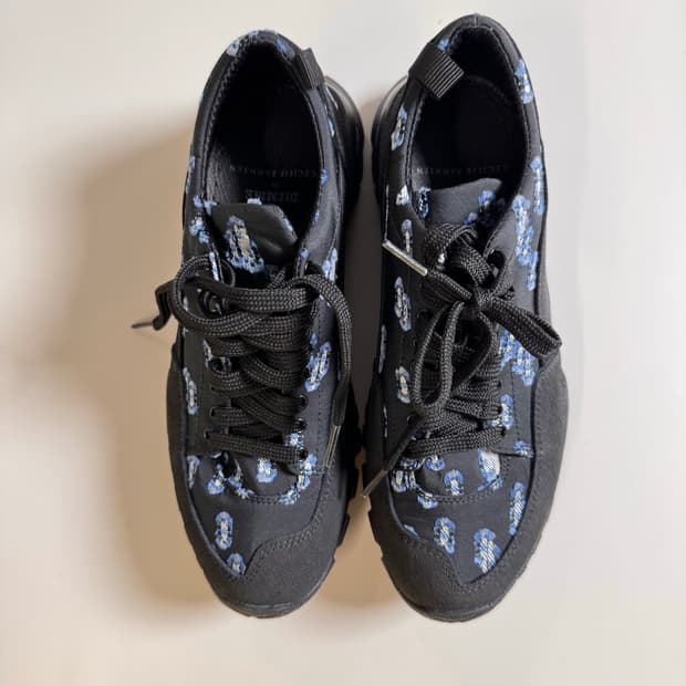 세실리아반센 디에메