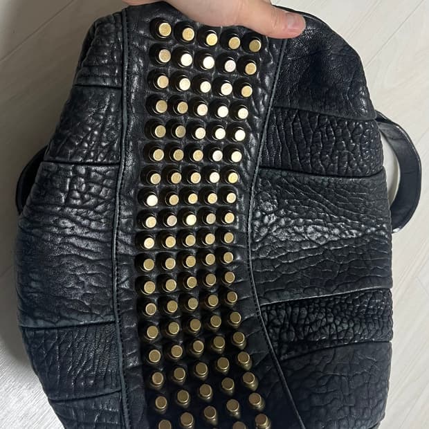 알렉산더왕 로코백 하자