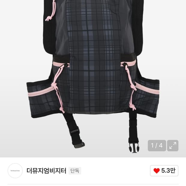 (판매)더뮤지엄비지터 CHECK PRINTED 백팩