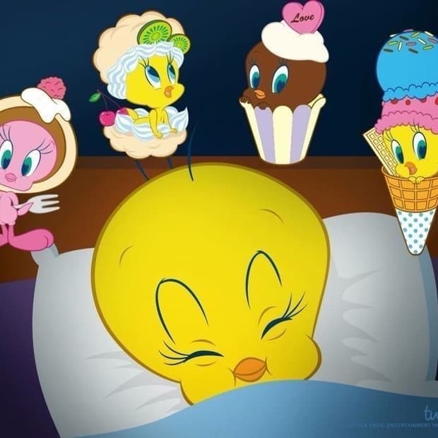 나이키 패딩 구매