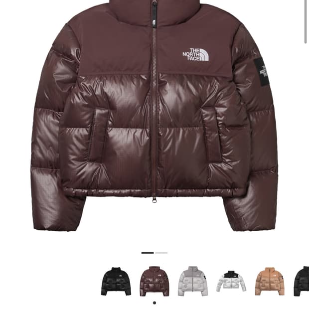 노스페이스 눕시 코코아