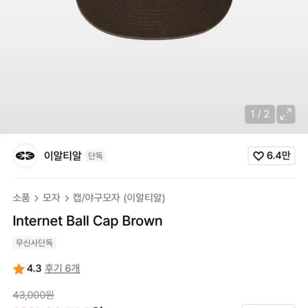 이알티알 Internet Ball Cap Brown