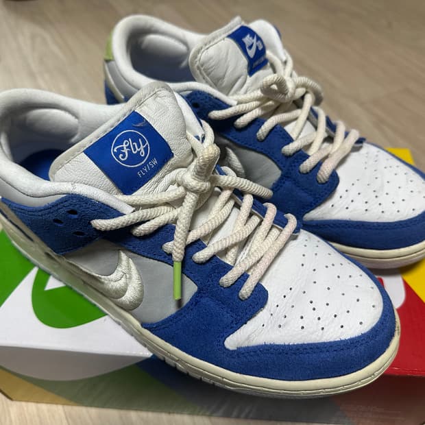 나이키 x 플라이 스트릿웨어 SB 덩크 로우 프로 가데니아