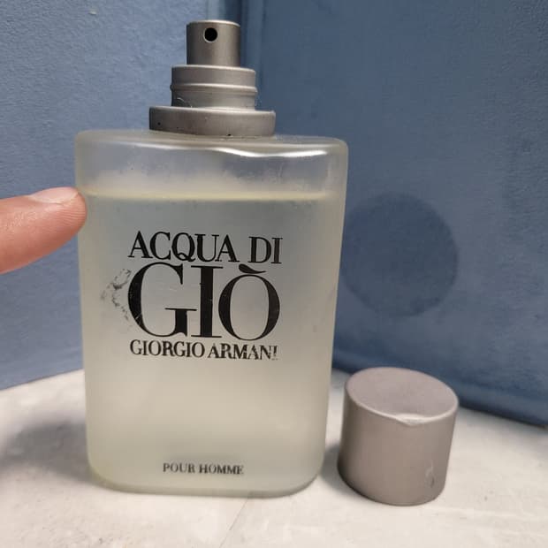 조르지오 아르마니 아쿠아 다 지오 EDT 100ml 향수 (4)