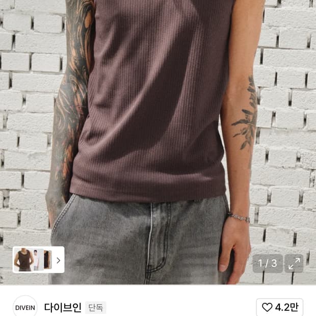 다이브인 슬리브니스 브라운 2