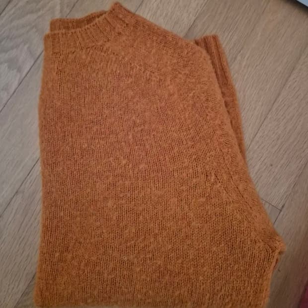 할리오브스코틀랜드 쉐기독 m 