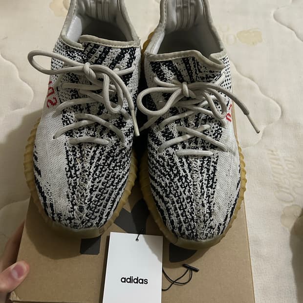 이지부스트 지브라 255