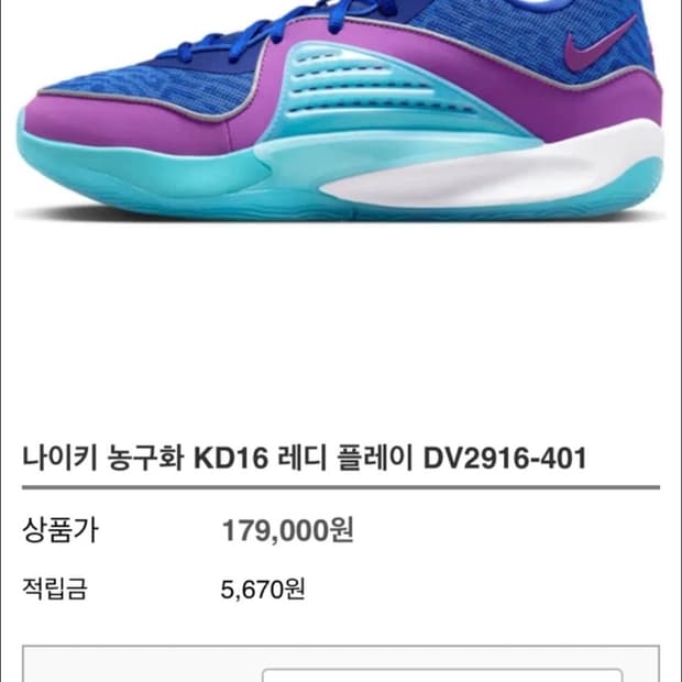 나이키 르보론이 신는 신발