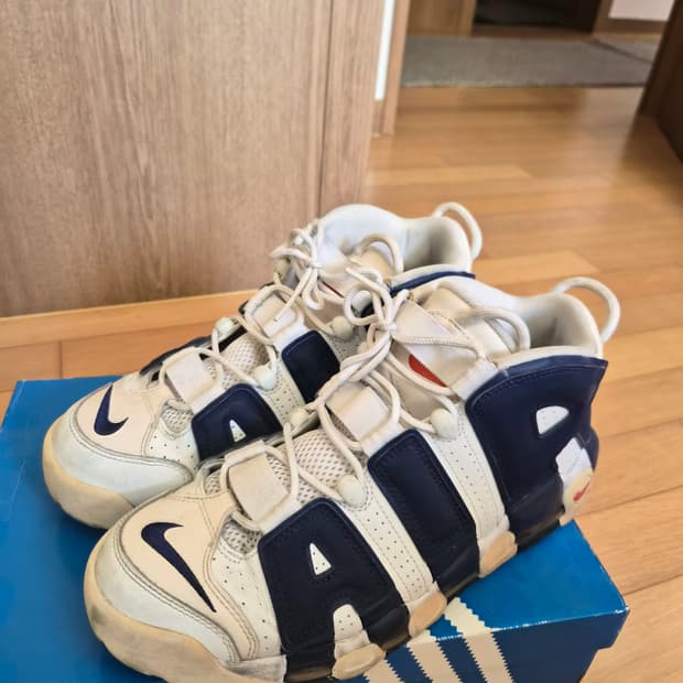 [나이키] 업템포 닉스 (280)